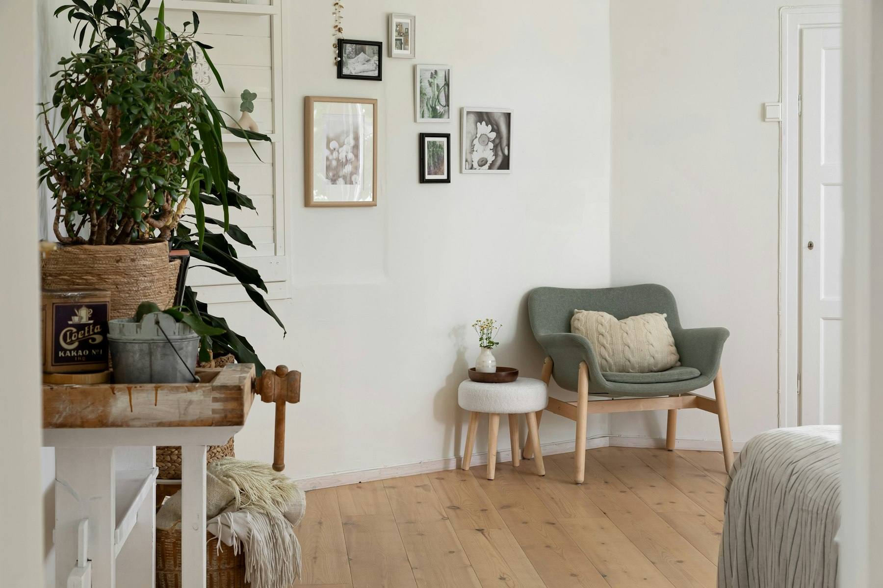 Lyst rum med plankegulv og planter
